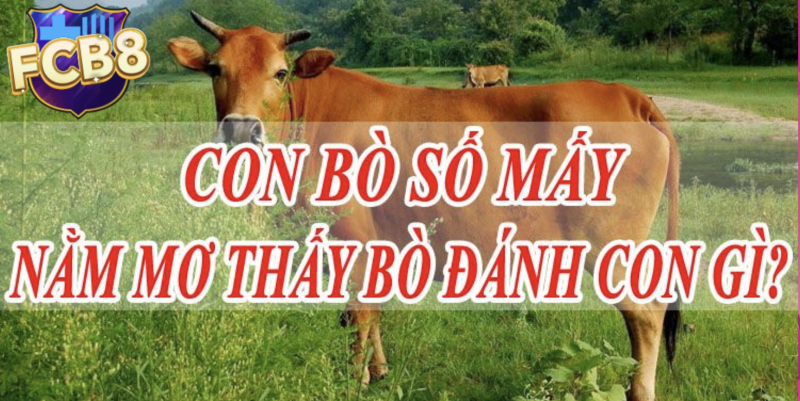 Giải mã giấc mơ thấy con bò và đánh số gì để trúng
