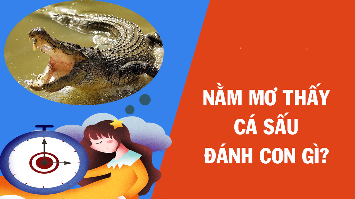 Ý nghĩa giấc mơ thấy cá sấu