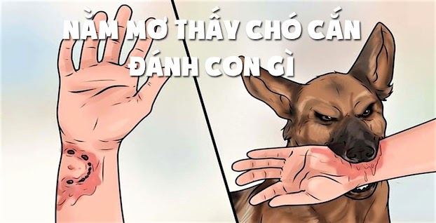 FCB8 Trả Lời Đánh Đề Số Mấy Khi Mơ Thấy Chó Cắn