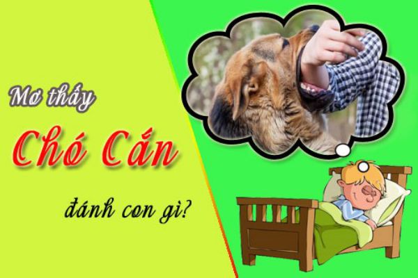FCB8 Giúp Bạn Giải Mã Giấc Mơ Thấy Chó Cắn