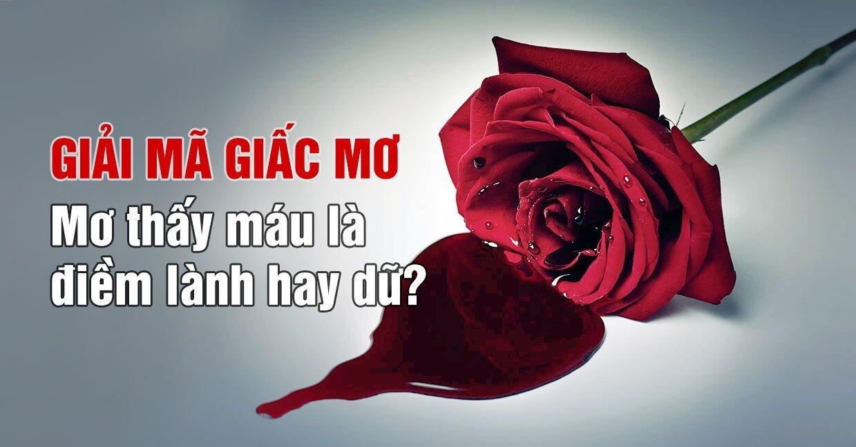 Cùng FCB8 khám phá giấc mơ thấy máu
