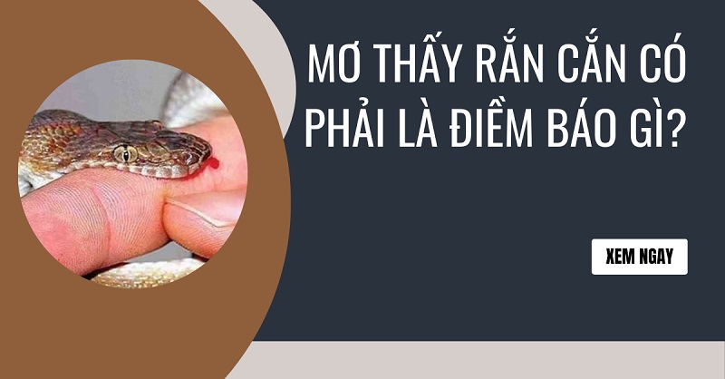 Khám phá giấc mơ thấy rắn cắn