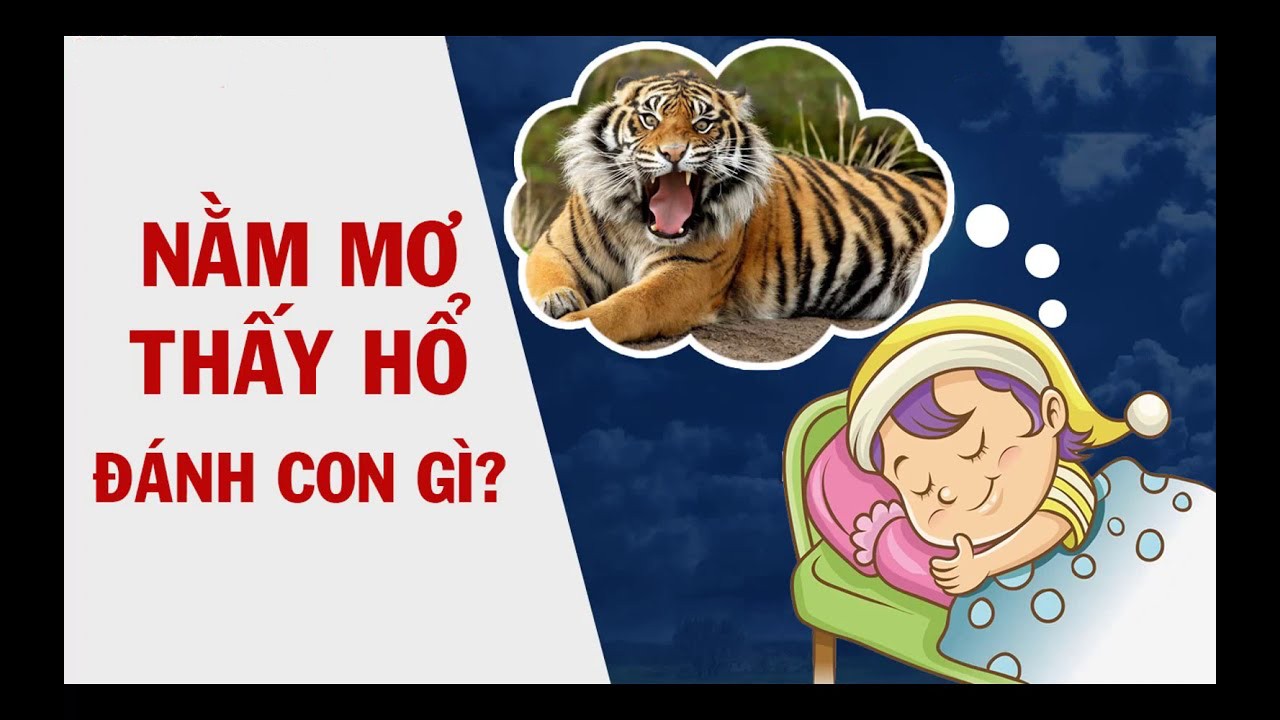 Mơ Thấy Hổ Đánh Con Gì? Bí Quyết Từ FCB8