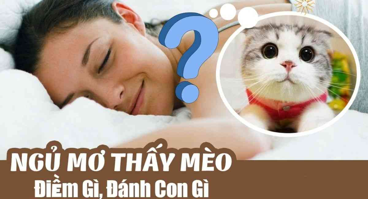 Chiêm bao thấy mèo là tốt hay xấu?