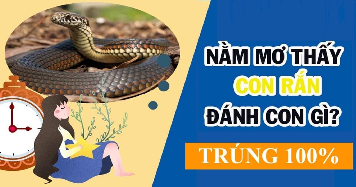 Khi mơ thấy rắn đánh đề số mấy?