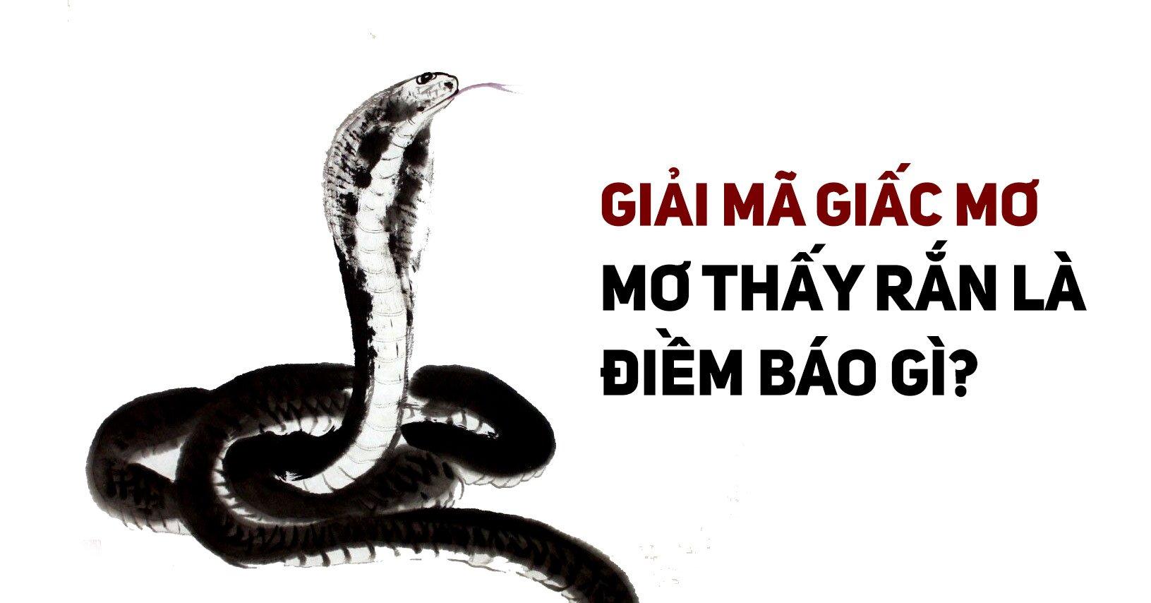 Cùng FCB8 khám phá giấc mơ thấy rắn