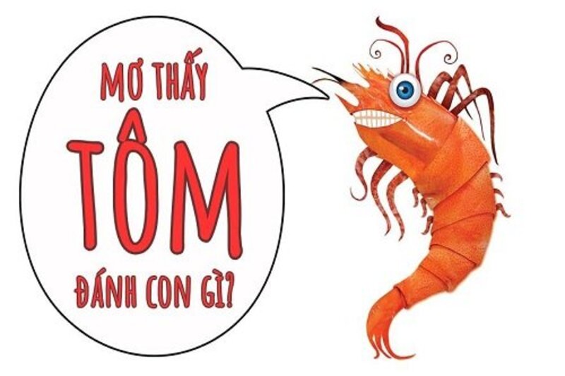 Mơ Thấy Tôm Đánh Đề Số Mấy Tại FCB8?