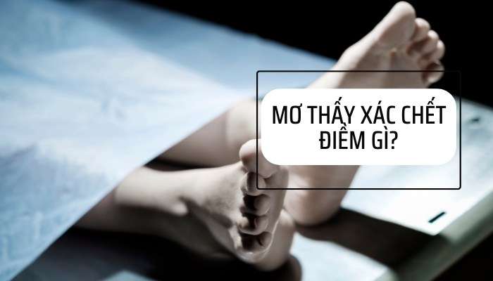 Tìm hiểu giấc mơ thấy xác chết cùng FCB8