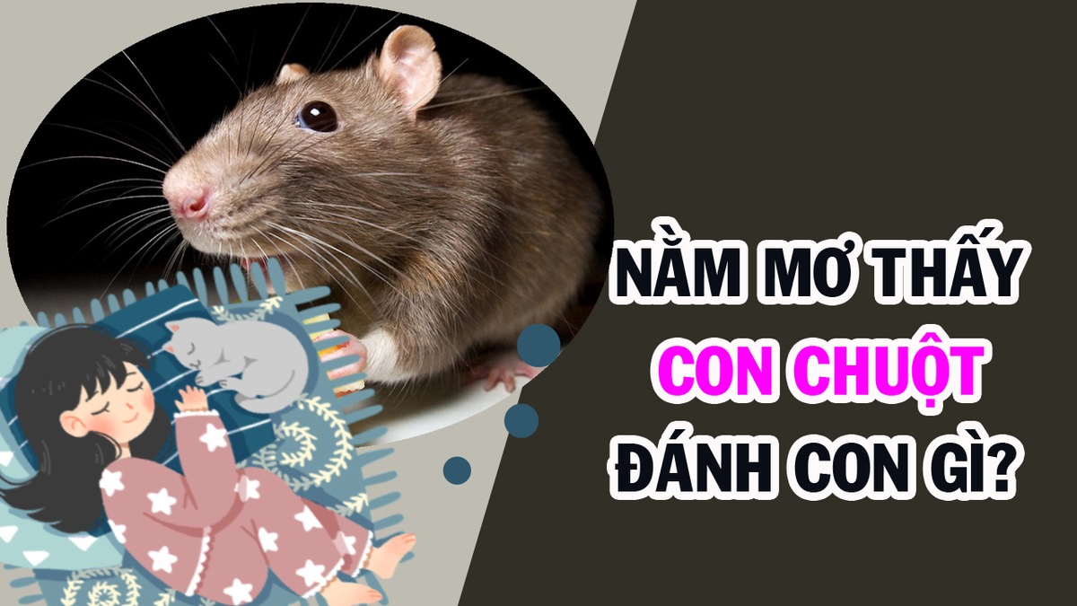 Mơ thấy chuột đánh đề số mấy tại FCB8?