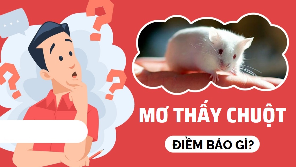 Cùng FCB8 phân tích trường hợp cụ thể khi mơ thấy chuột