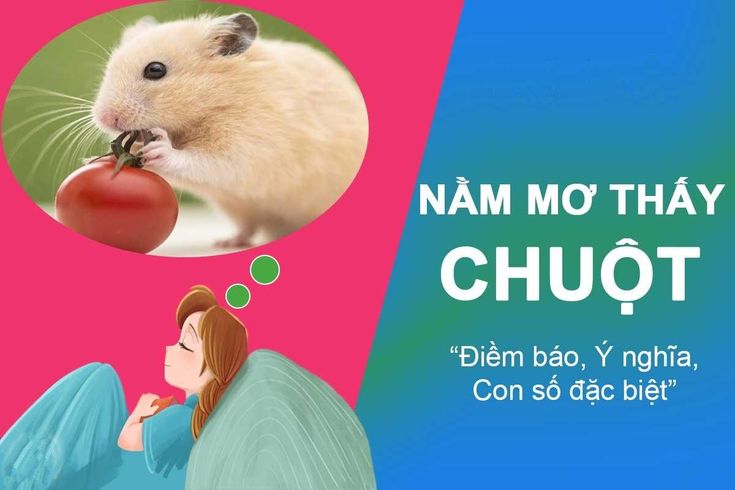 FCB8 Giải Mã Giấc Mơ Thấy Chuột Có Ý Nghĩa Gì? Số Đề Bao Nhiêu?