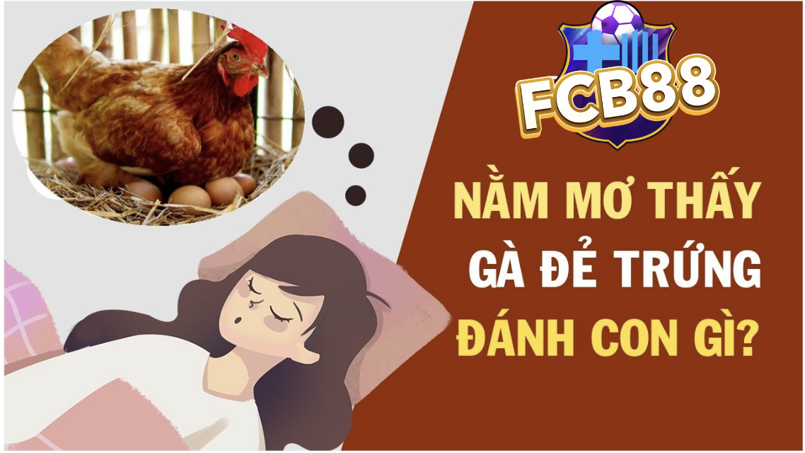 Mơ Thấy Gà Đẻ Trứng Báo Hiệu Điều Gì? FCB8 Gợi Ý Con Số Phát Tài