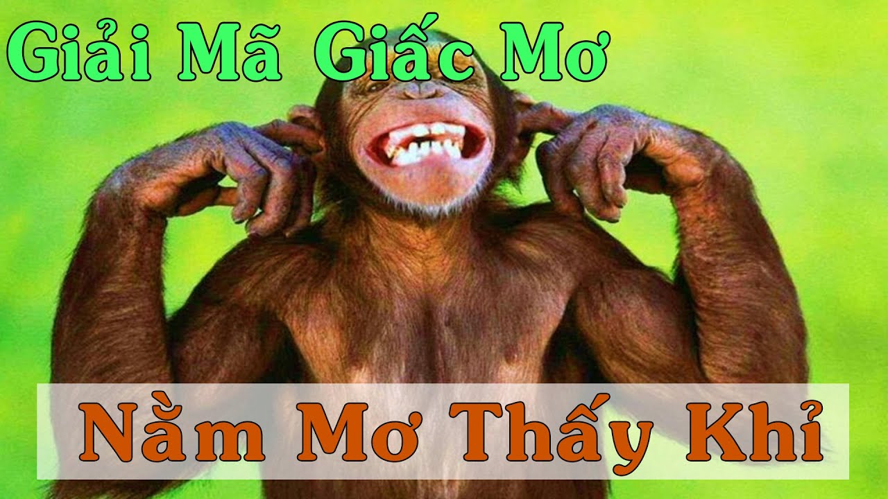 Mơ Thấy Khỉ - Điềm Báo Gì Và Con Số Nào Sẽ Làm Bạn Giàu Tại FCB8?