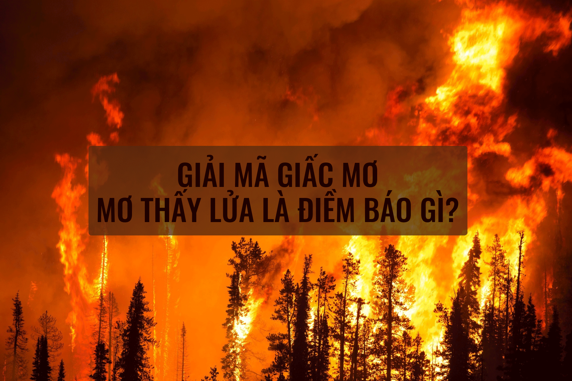 Số đề liên quan đến mơ thấy lửa được FCB8 bật mí