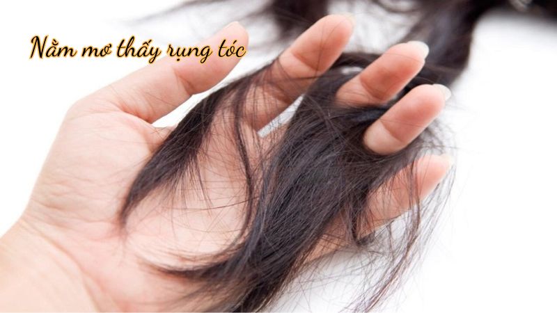 FCB8 Cập Nhật Top Số Đề May Mắn Khi Mơ Thấy Rụng Tóc