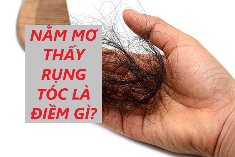 Giải mã giấc mơ thấy rụng tóc cùng nhà cái FCB8
