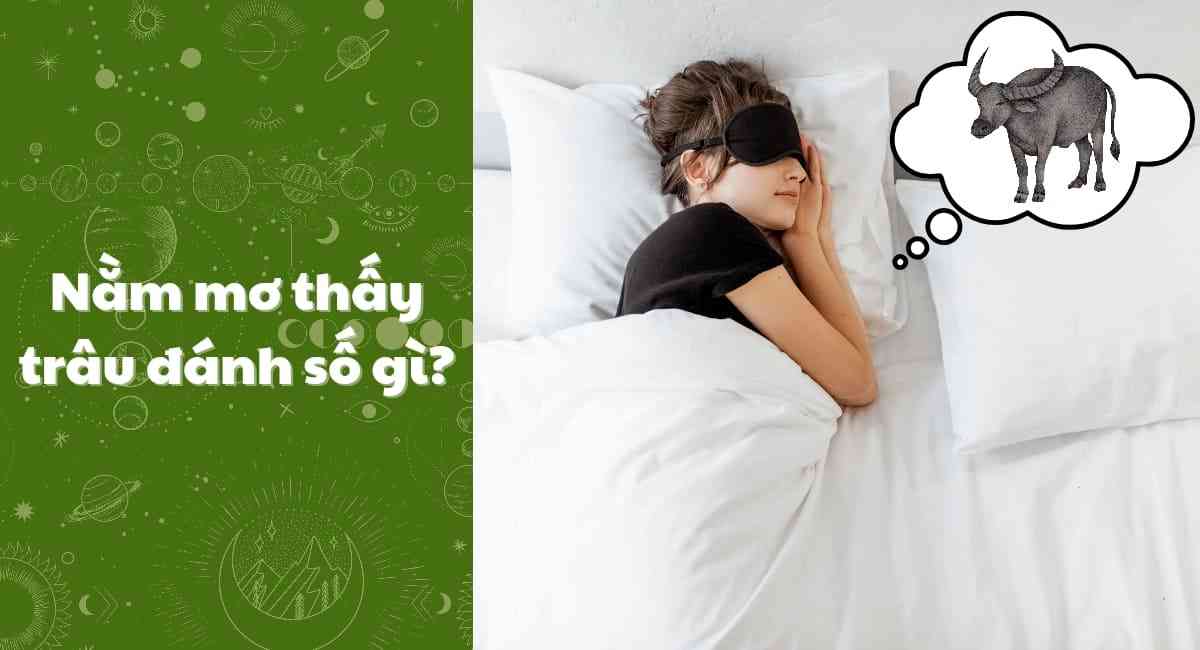 Mơ thấy trâu đánh con gì tại lô đề FCB8?