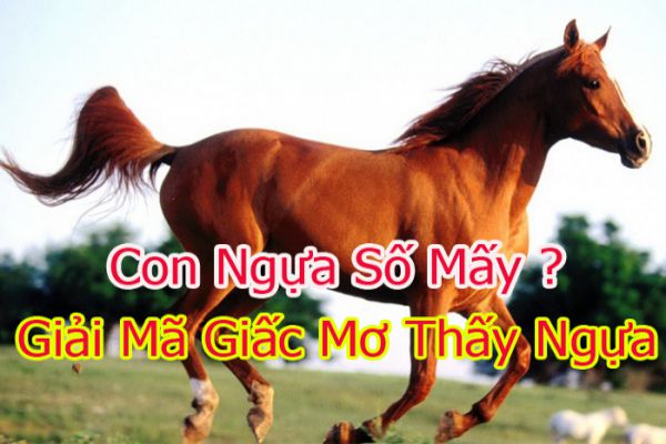 Mơ Thấy Ngựa - Giải Mã Điềm Báo Và Con Số May Mắn Tại FCB8