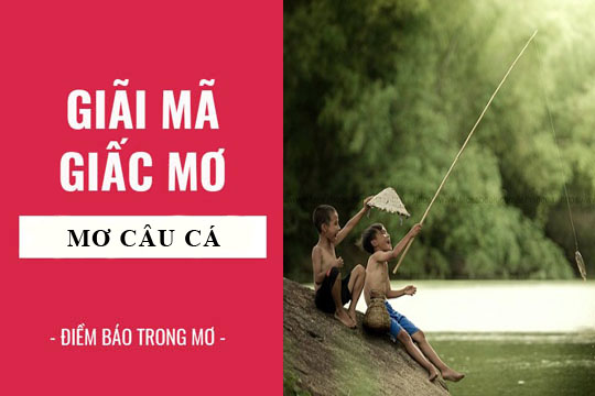 FCB88 Bật Mí Con Số Đề Cho Mơ Thấy Câu Cá Chính Xác Nhất