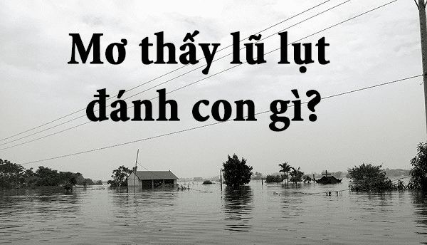 FCB88 gợi ý số đề khi mơ thấy lũ lụt