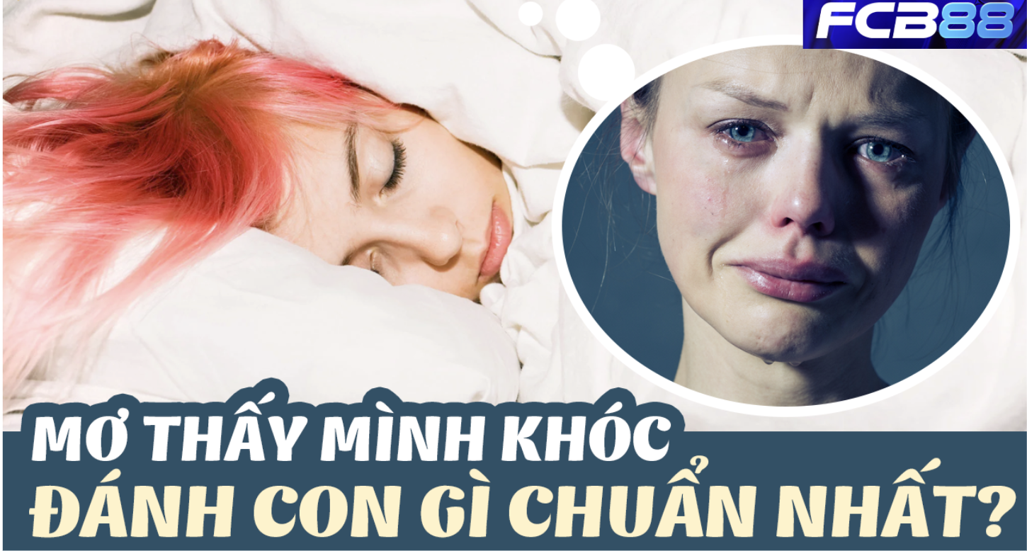 FCB88 gợi ý số đề nằm mơ mình khóc