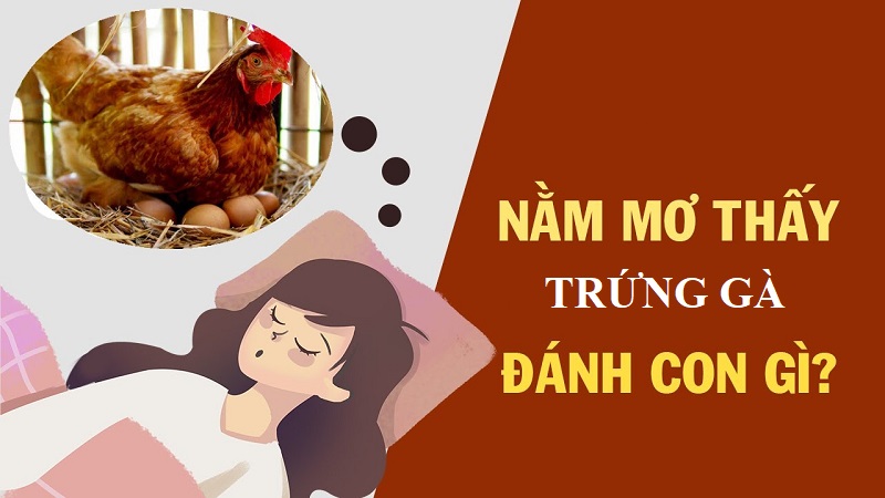 FCB88 gợi ý số đề khi mơ trứng gà