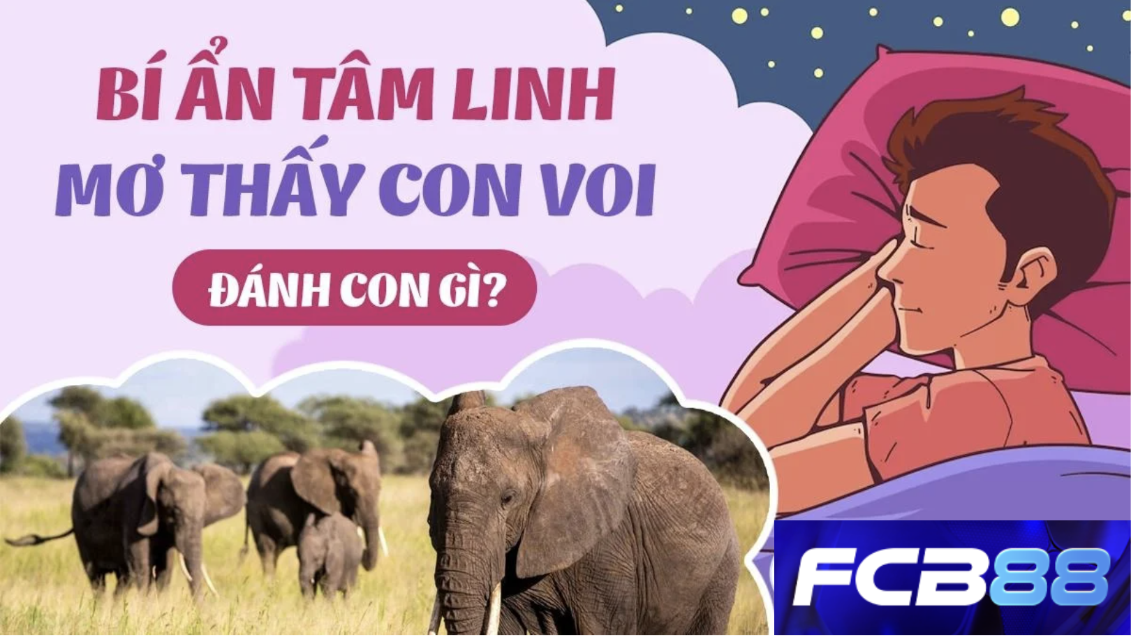 Chiêm bao thấy voi nên đánh đề số mấy tại FCB88?