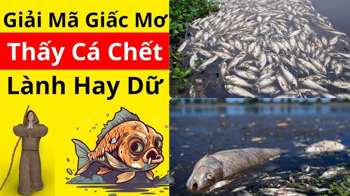 Khám phá số đề may mắn tại FCB88 khi nằm mơ cá chết