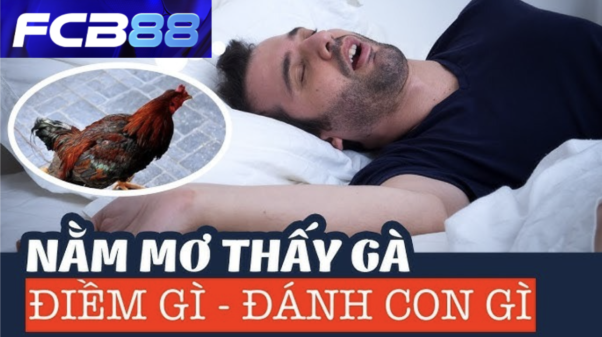 Mơ Thấy Gà - FCB88 Dự Đoán Tương Lai Và Số Đề Chuẩn Nhất