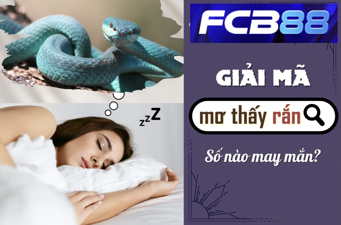 Cùng FCB88 khám phá ý nghĩa giấc mơ thấy rắn to