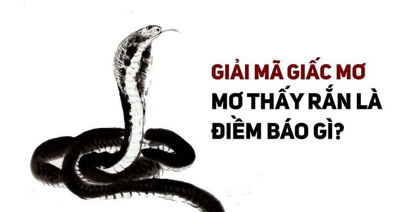 Mơ Thấy Rắn To - Bí Ẩn Điềm Báo Và Con Số May Mắn Tại FCB88