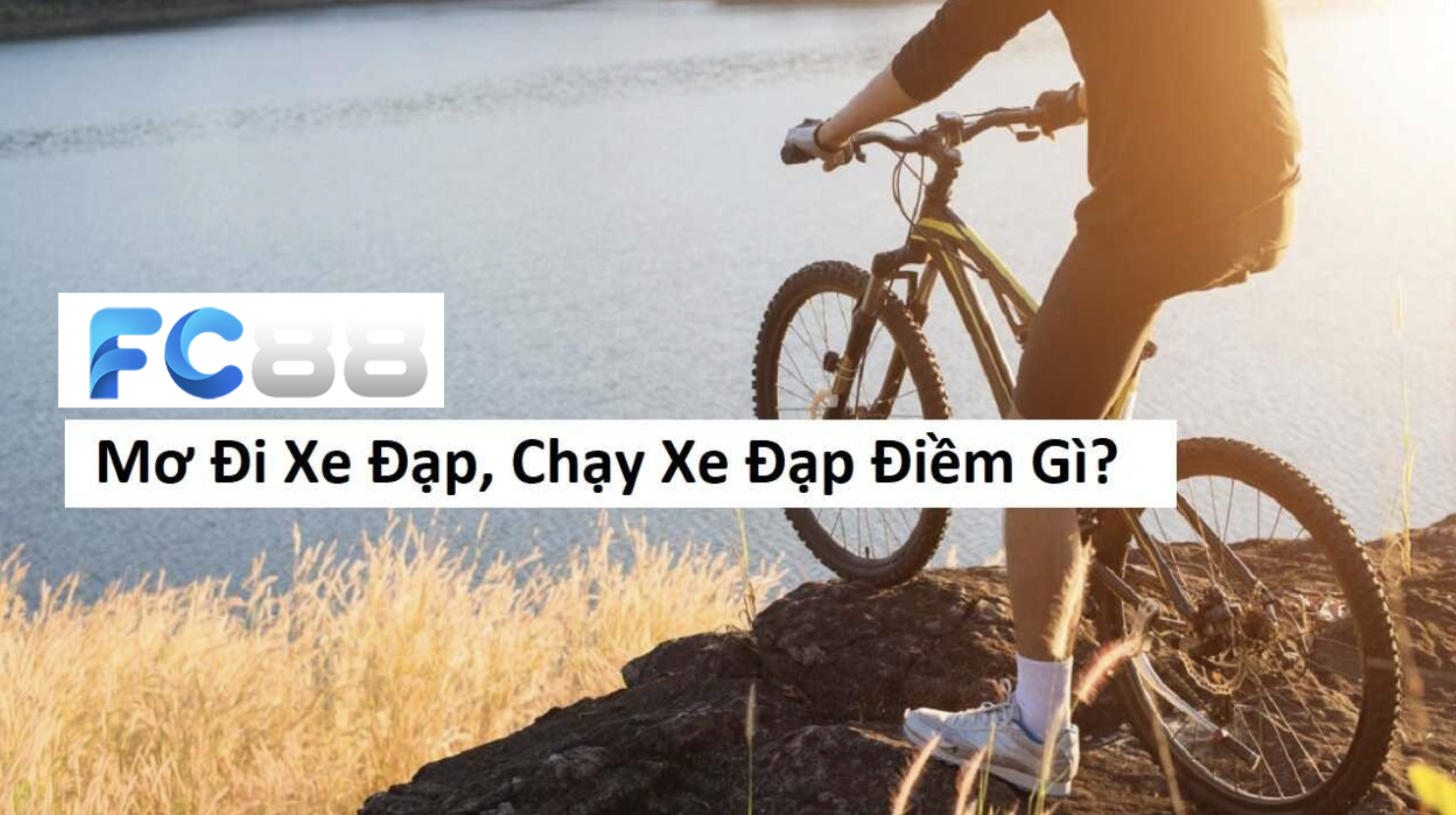 FC88 giải mã giấc Mơ Thấy Đi Xe Đạp